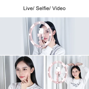 MAMEN 10 inch Selfie Obroč Svetlobe LED Zatemniti Video studijskega Razsvetljavo Prenosni Za Youtube Vlog Live Photo S Stojalom