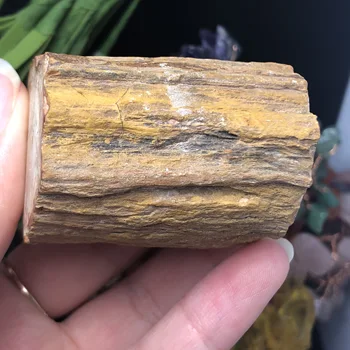 Naravni Strah lesa fosilna izvirna kamen surovi Rock Kristalov Kremena Mineralnih Vzorcu Zdravljenje Reiki doma Dekor