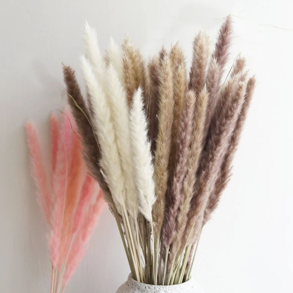 20pcs 3 barva na voljo raw&pink&bele barve, majhne pampe travo Phragmites&reed rože&bulrush cvetje za poroko dekor