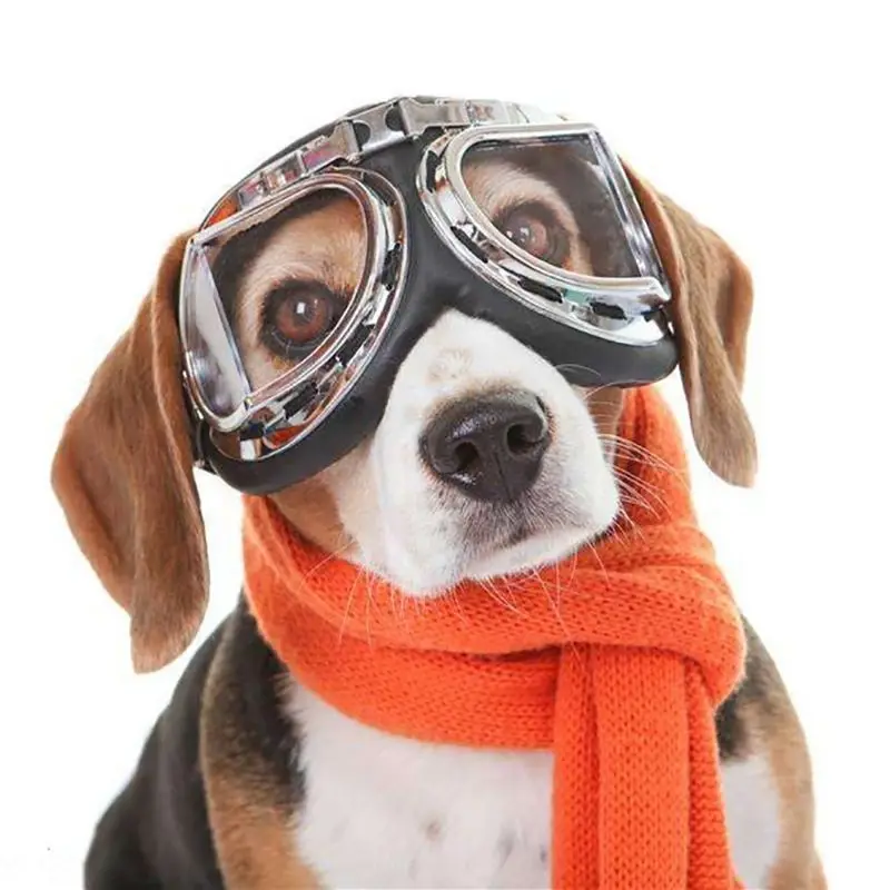 Hišni Pes Plastična Očala Za Sonce Kuža Velik Okvir Buljiti Za Usposabljanje Kampiranje Na Prostem Soncu Zaščitnik Hišne Živali, Psi, Modni Dodatki