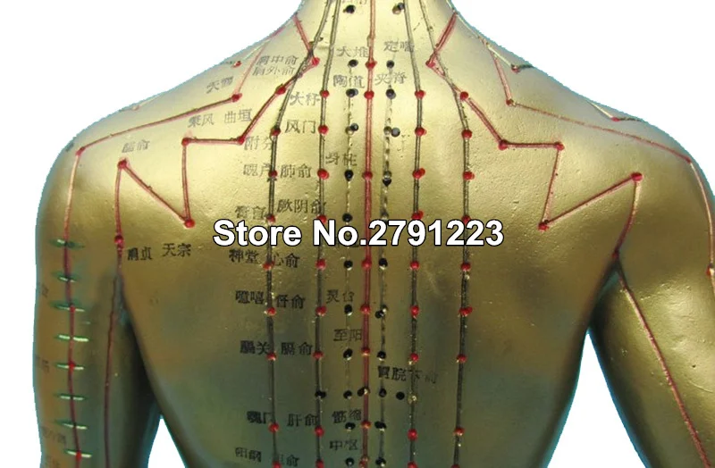 Meridian model človeškega akupunktura točka človeškega telesa model 50 cm Izobraževanje Medicinskih Naprav moški ženski 2pcs