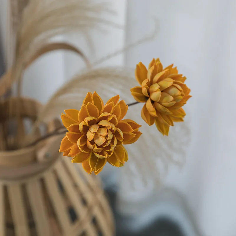 Resnično Naravno Sušene Pritisnete Lotosov Cvet, Dekorativni Ročno Water Lily Cvet Veje Dekoracijo Za Dom Dnevna Soba
