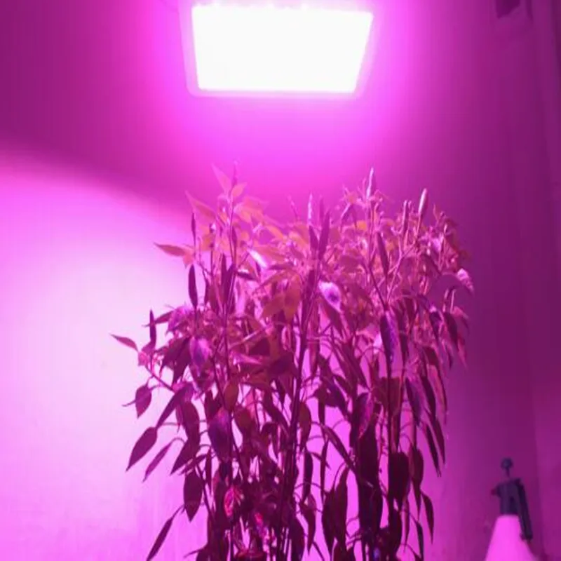 5PCS COB LED150w ac220V high power Žaromet Noge DOB Čip celoten spekter rastlin raste proti Strele 4KV brezplačna dostava