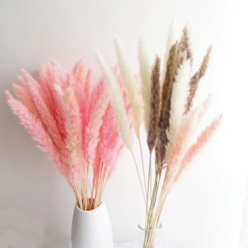 20pcs 3 barva na voljo raw&pink&bele barve, majhne pampe travo Phragmites&reed rože&bulrush cvetje za poroko dekor