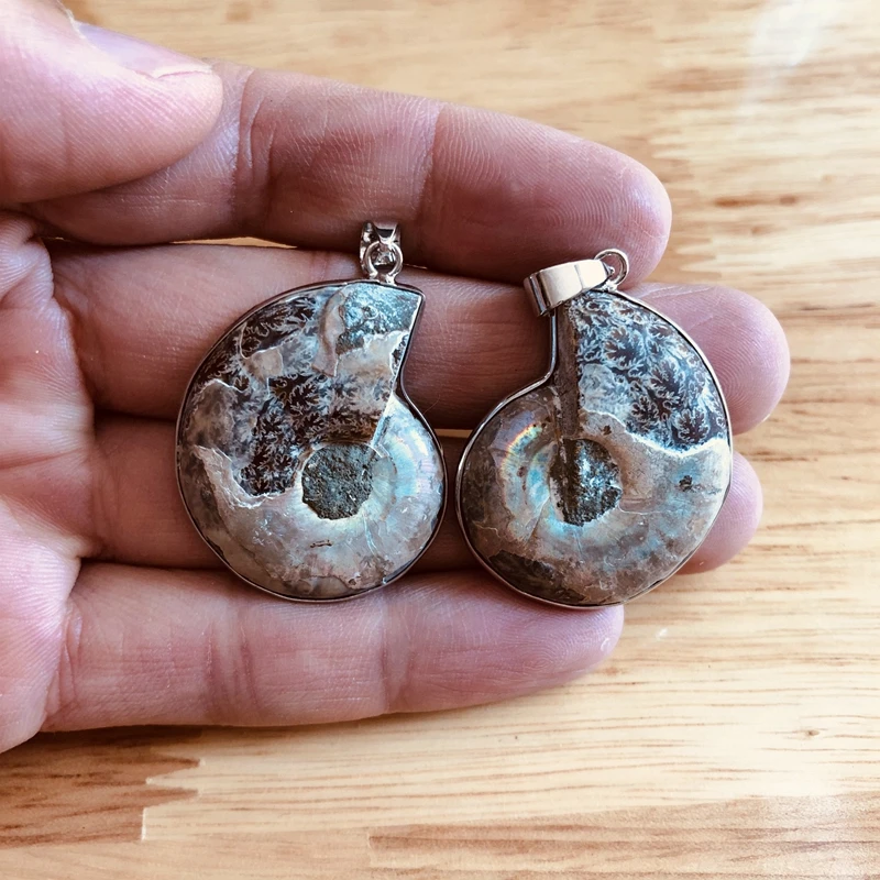 Debelo 2pcs Naravnih Mavrica Ammonite Fosili Obesek Gem kamen Ammolite Obeski za nakit, izdelava