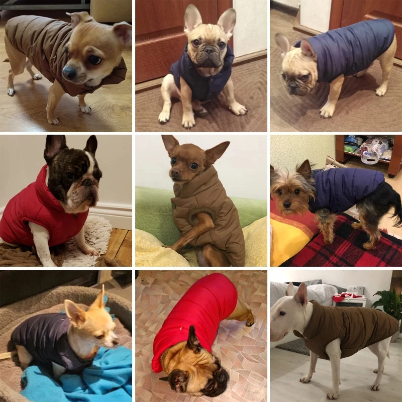Hišni Pes, Telovnik, Suknjič Jeseni, Pozimi Toplo Runo Pes Plašč Obleke Za Majhne, Srednje Velike Pse Chihuahua Francoski Buldog Pug Oblačila