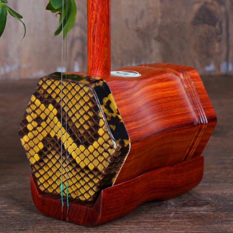 Kitajski Erhu Folk Niz Instrument Huqin Strik Muziek rdeče sandale lesa Glasbila Strokovno Glasbe Erhu Dodatki