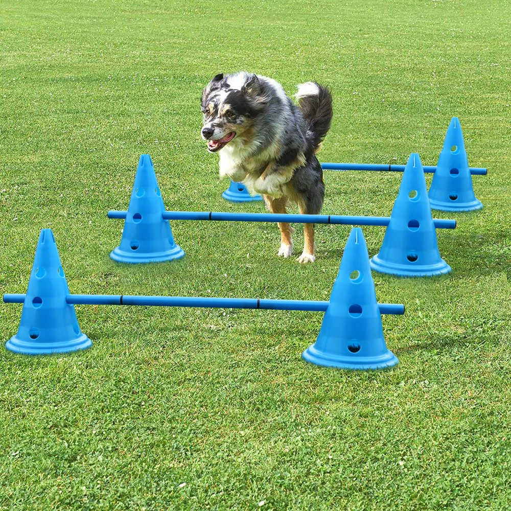 3 Nastavite Pes Oviro Usposabljanje Cone Ljubljenčka Psa Usposabljanje Izdelkov Na Prostem Psi, Ki Teče In Opremo Za Usposabljanje Nogomet Ovira Pokal