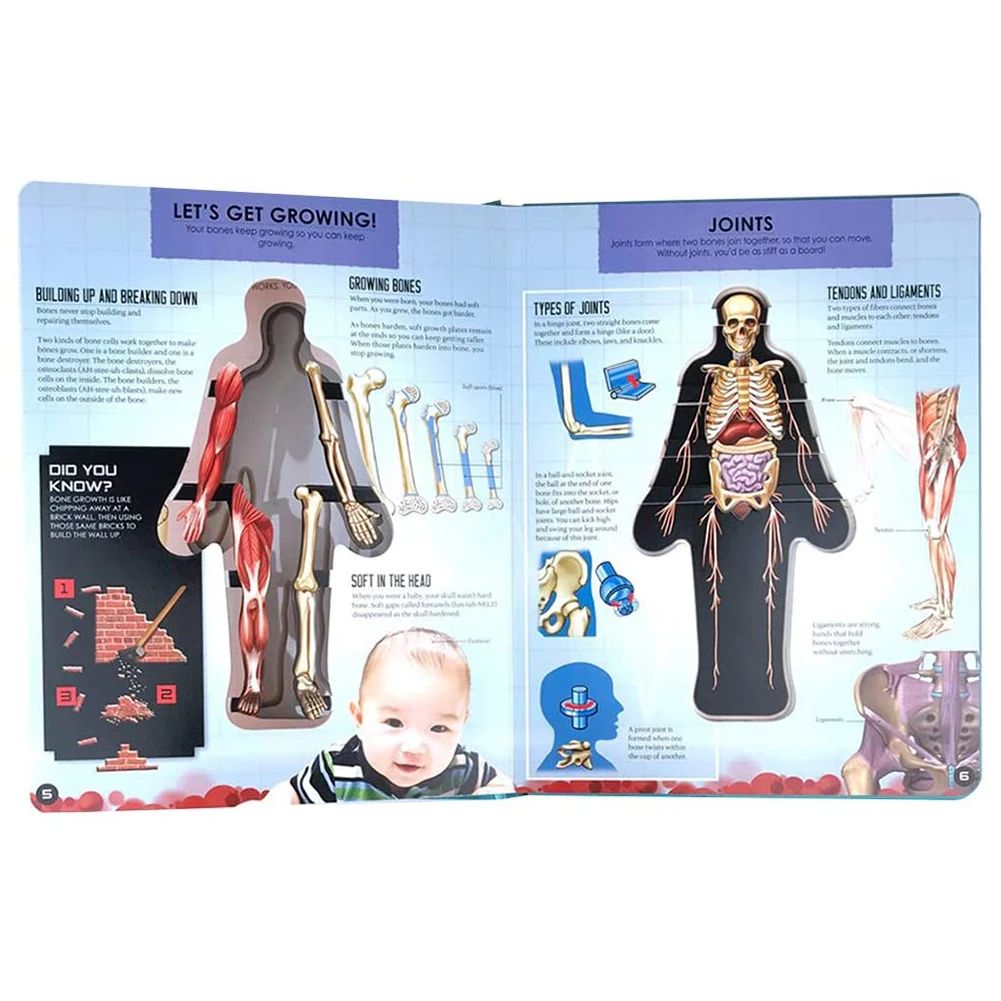 3D Sliko Človeškega Telesa Struktura Knjige Anatomija Znanost Učenje Otrok, Zgodnje Izobraževanje Knjige Otroci Igrače Naključno Pokrov
