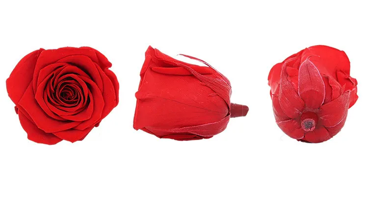 5-6 CM/6pcs,Razred A Konzervirane Rose Cvetje Polje,valentinovo Darilo, Uslugo,Lepotica in Zver Večno Rose Glave,Poroka Dekor