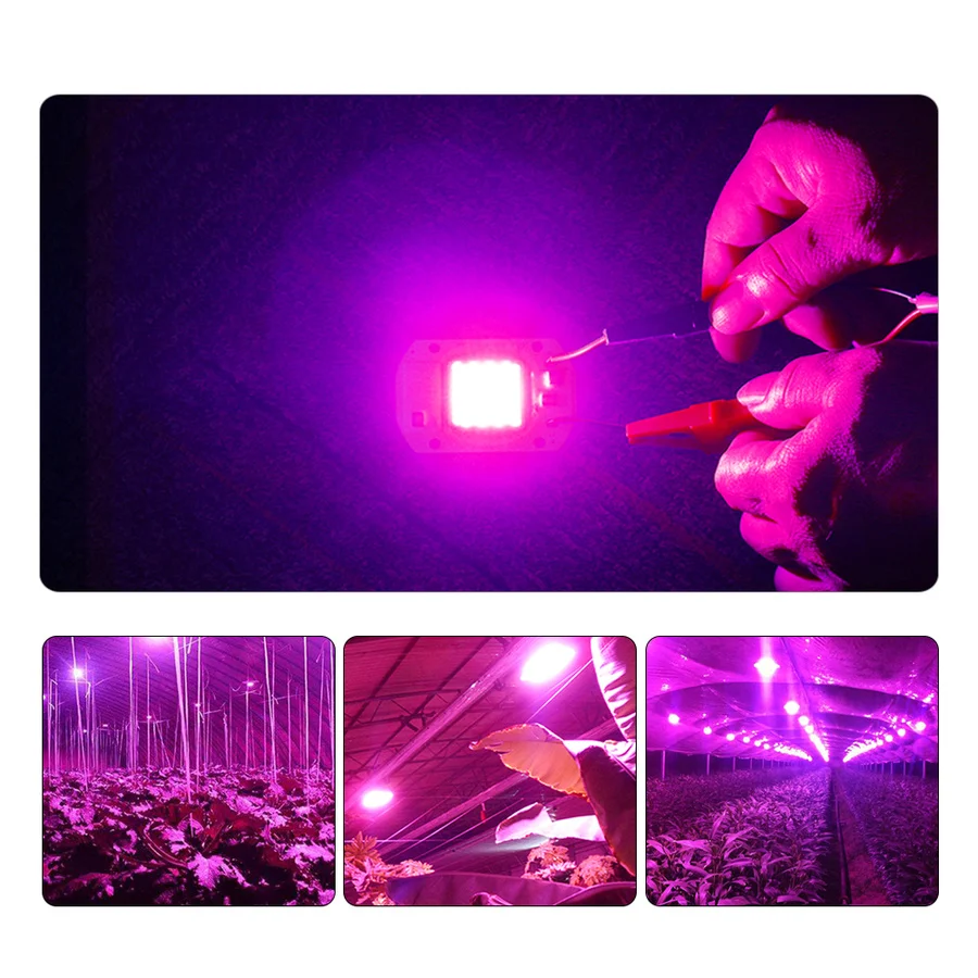 AC 100-240V Ffs Sijalko 20W 30W 50 W COB LED Čip Celoten Spekter Rastejo Svetlobe 370nm-780nm za uporabo v Zaprtih prostorih Rastlin, Sadik Rast in Cvet