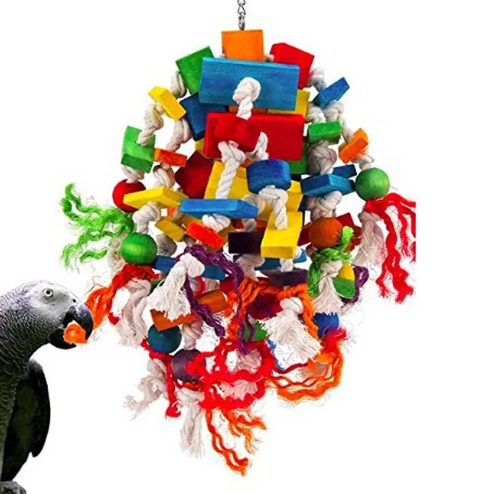 Barvita Papiga Ugriza Igrače Papiga Ugriz Igrača Afriška Siva Makai Kakaduji Vrste Ptic Usposabljanje Igranje Pribor