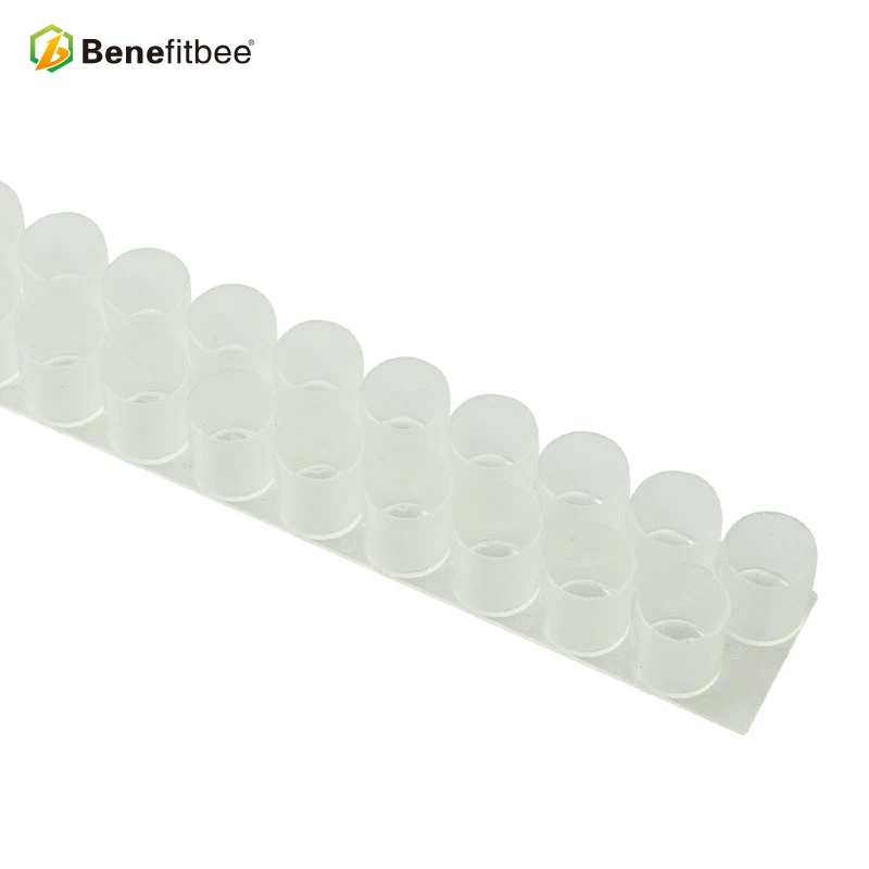 Benefitbee Apicultura Čebel Orodje mleček Skodelica z Dvojno Vrstico 10PCS/Paket 63 Luknje za proizvodnjo matičnega Mlečka Čebelarska Oprema