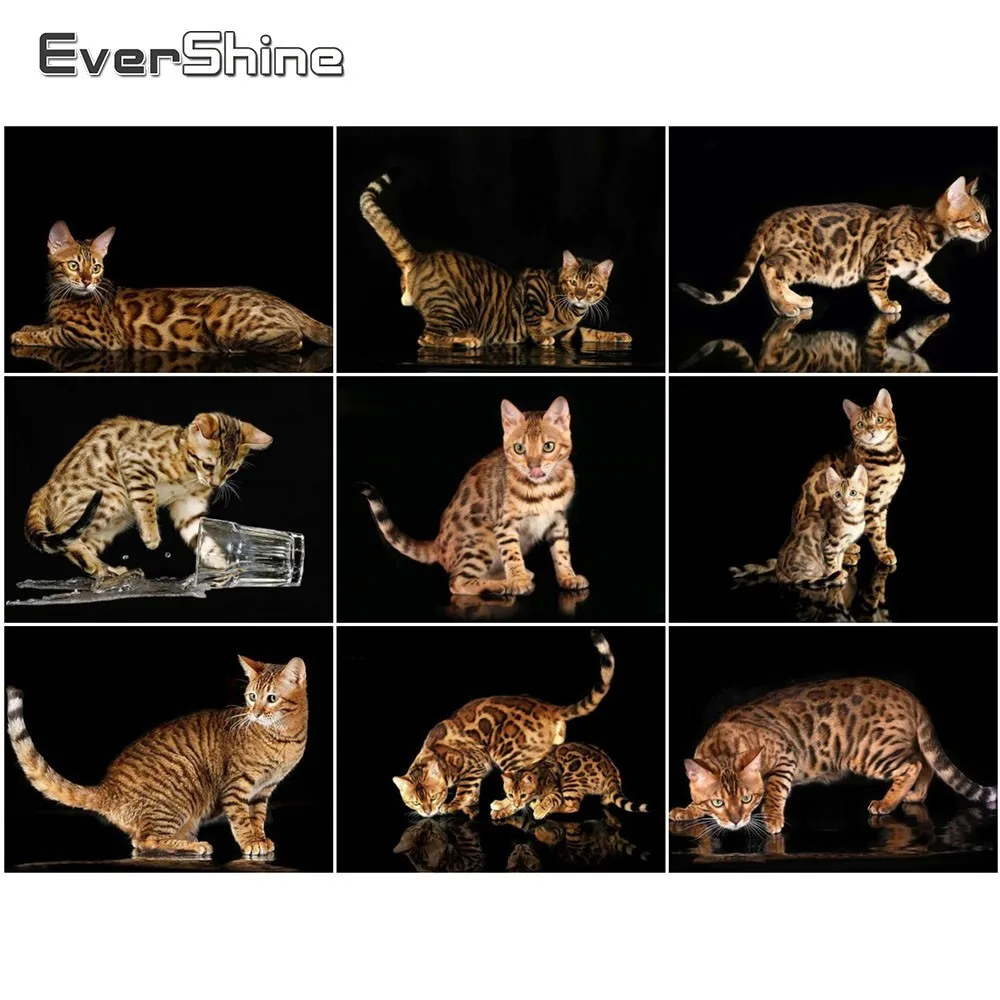 EverShine 5D DIY Celoten Kvadratni Diamond Slikarstvo Mačka Navzkrižno Šiv Diamond Mozaik Živali Doma Dekor Diamond Vezenje Ročno Umetnost