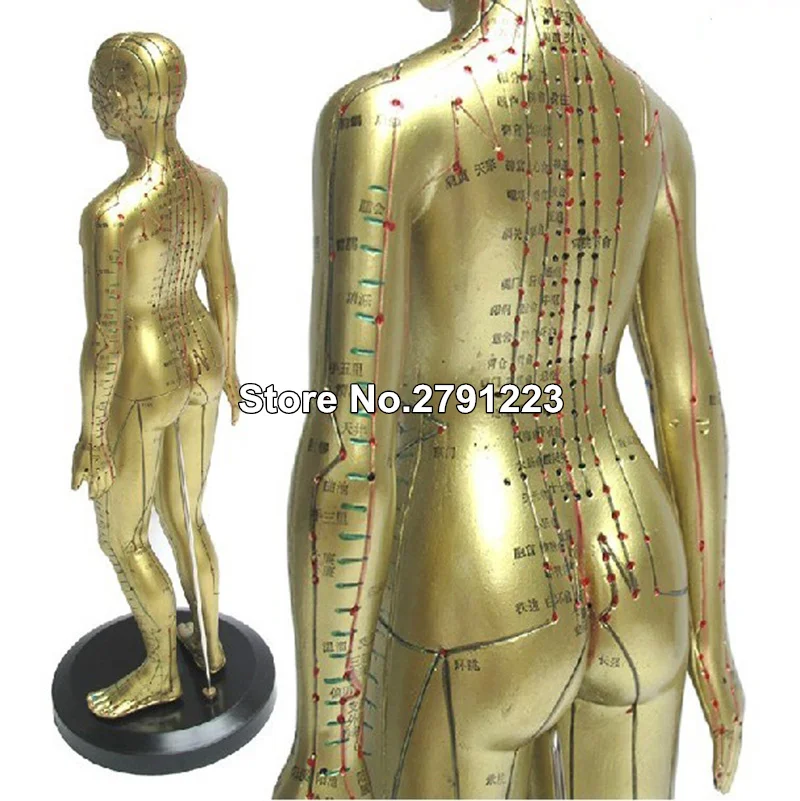 Meridian model človeškega akupunktura točka človeškega telesa model 50 cm Izobraževanje Medicinskih Naprav moški ženski 2pcs