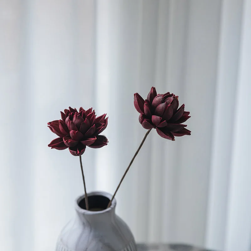 Resnično Naravno Sušene Pritisnete Lotosov Cvet, Dekorativni Ročno Water Lily Cvet Veje Dekoracijo Za Dom Dnevna Soba