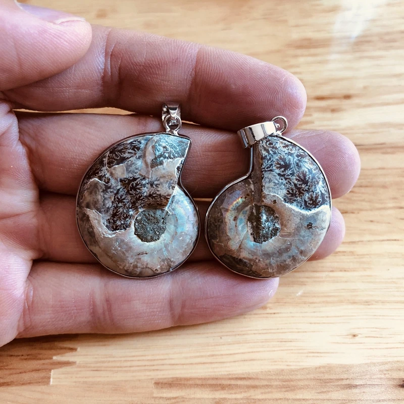 Debelo 2pcs Naravnih Mavrica Ammonite Fosili Obesek Gem kamen Ammolite Obeski za nakit, izdelava